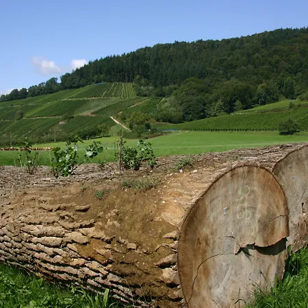 Landpension Haus Ruth 3*