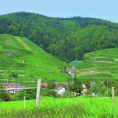 ゲストハウス Landpension Haus Ruth 3*