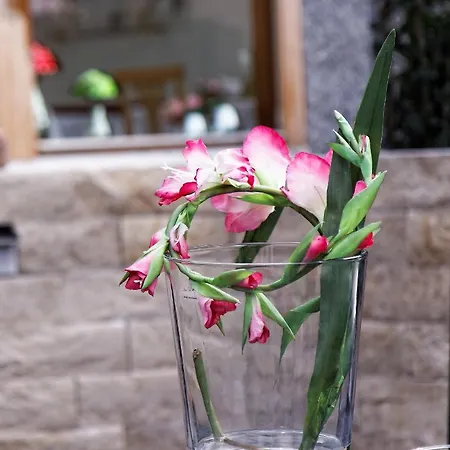 ゲストハウス Landpension Haus Ruth 3*