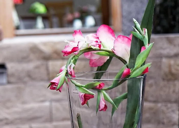 Affittacamere Landpension Haus Ruth 3*